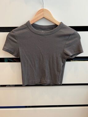 Ribbed Crewneck Crop Top in Charcoal Gray